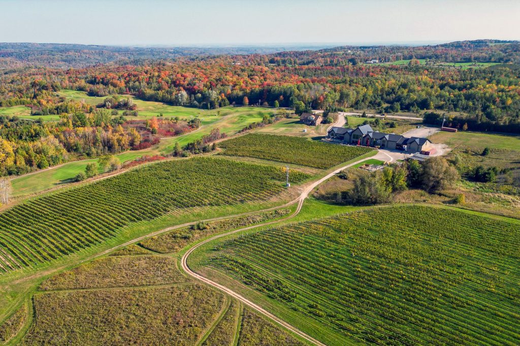 Adamo Estate Winery
